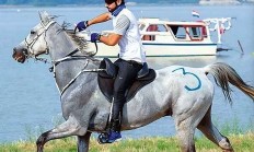 关于阿联酋马术选手驾驭出色，获得个人冠军殊荣的信息