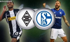 爱游戏官方-关于门兴格拉德巴赫主场击败沙尔克04，升至积分榜首的信息