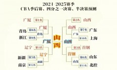 爱游戏地址-山西队主场失利，需加把劲，争夺季后赛资格的简单介绍