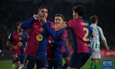 爱游戏登录-包含西班牙队成功晋级，球迷们高兴不已的词条