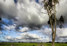 爱游戏登录入口-拜仁慕尼黑豪取胜利，轻松击败亚琛多特蒙德，拜仁慕尼黑vs多特蒙德历史