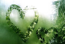 爱游戏链接-多特蒙德豪取胜利！弗莱堡遭遇惨败，多特蒙德vs弗莱堡视频直播