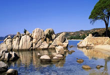 爱游戏投注-尤文图斯主场1-0战胜佛罗伦萨，继续领跑意甲积分榜，尤文图斯意甲赛程