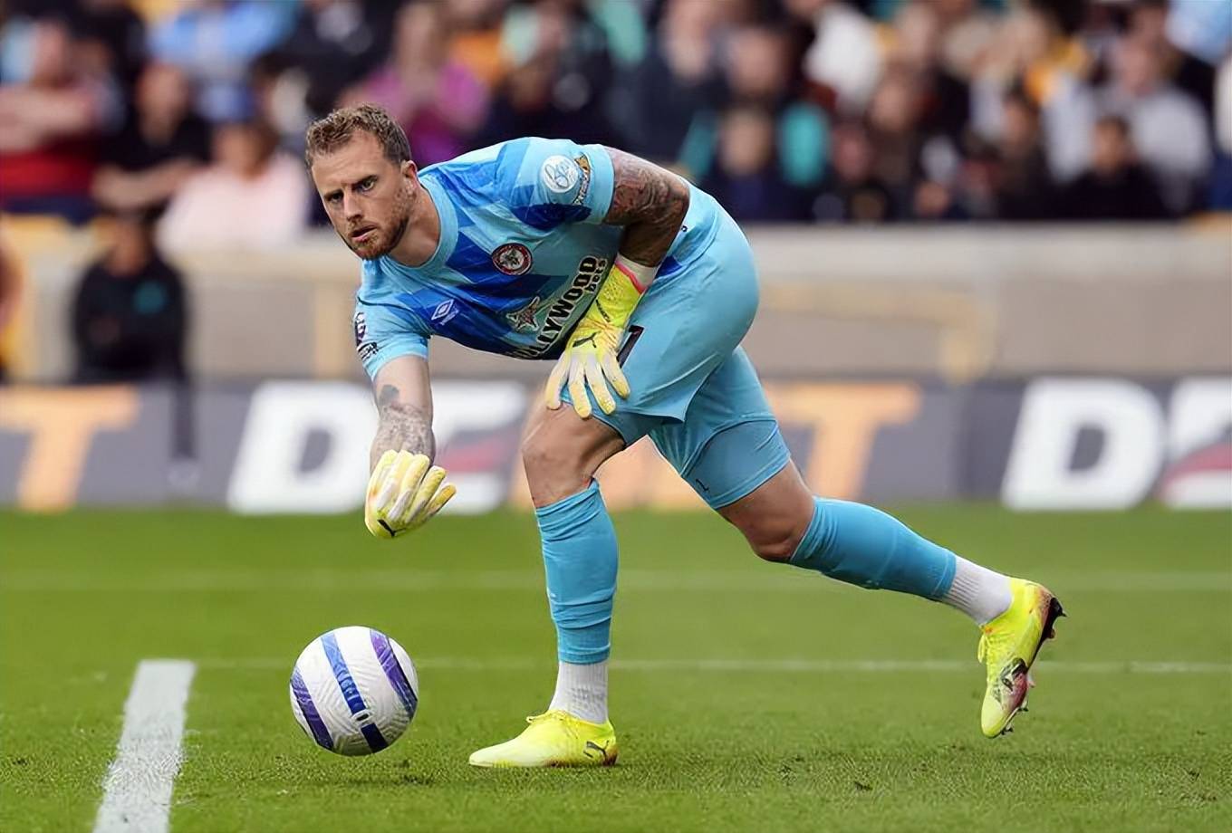 夏窗引援：球队强劲新生将带来什么惊喜的简单介绍