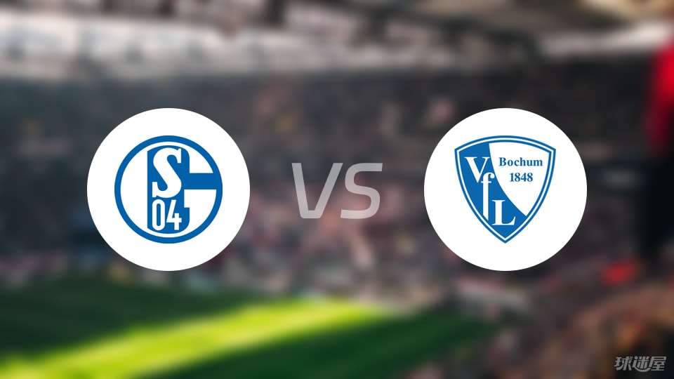 波鸿对决沃尔夫斯堡,德乙升班马较量的简单介绍 波鸿对决沃尔夫斯堡,德乙升班马较量的简单介绍