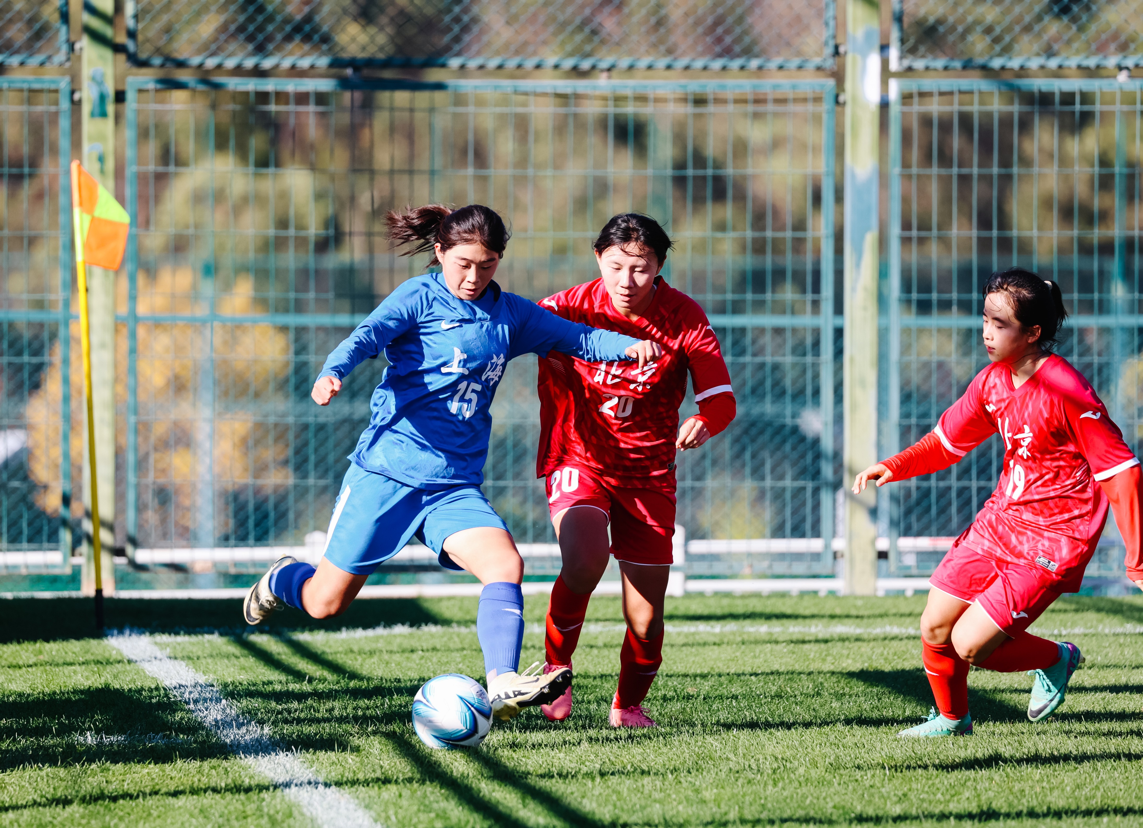 瑞典女足表现出色,逆转胜利晋级半决赛 瑞典女足表现出色,逆转胜利晋级半决赛