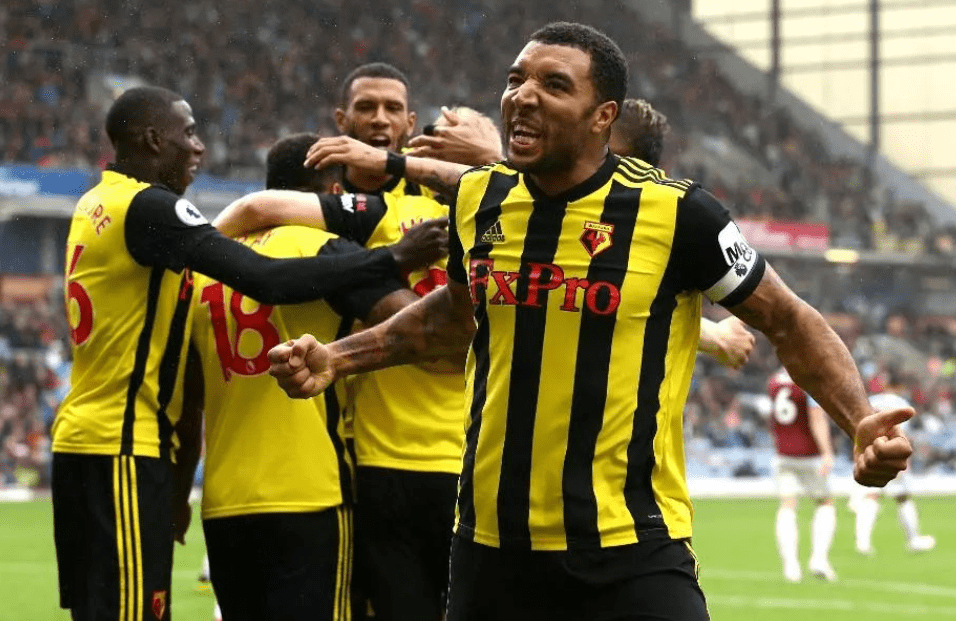 包含诺维奇主场告捷，全力保级仍需努力的词条